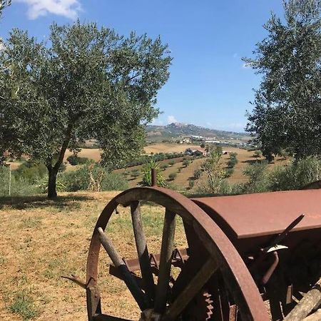 Appartamento Olivo Collecorvino المظهر الخارجي الصورة