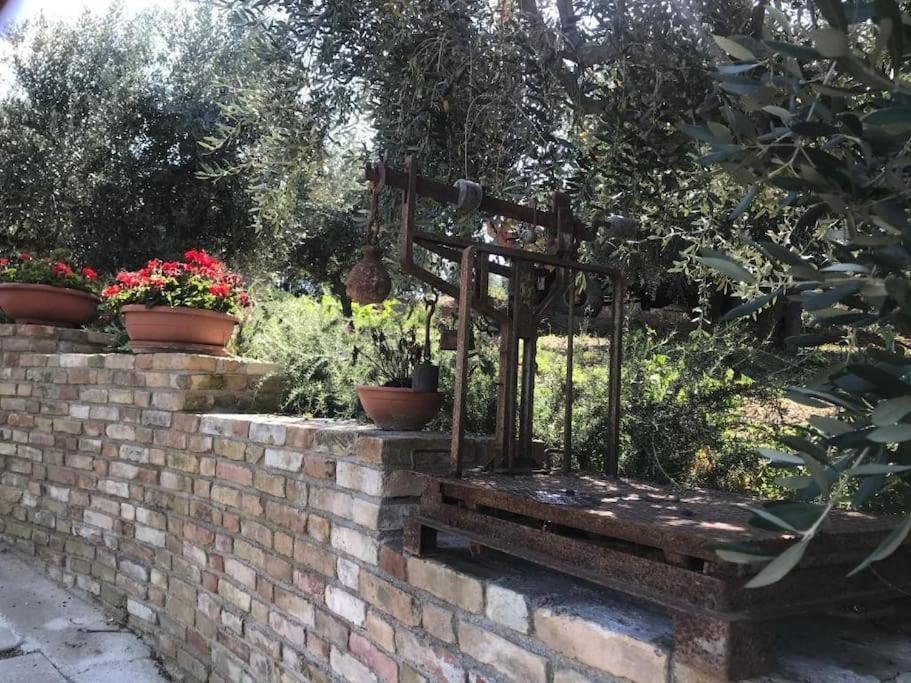 Appartamento Olivo Collecorvino المظهر الخارجي الصورة