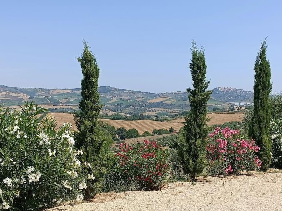 Appartamento Olivo Collecorvino المظهر الخارجي الصورة